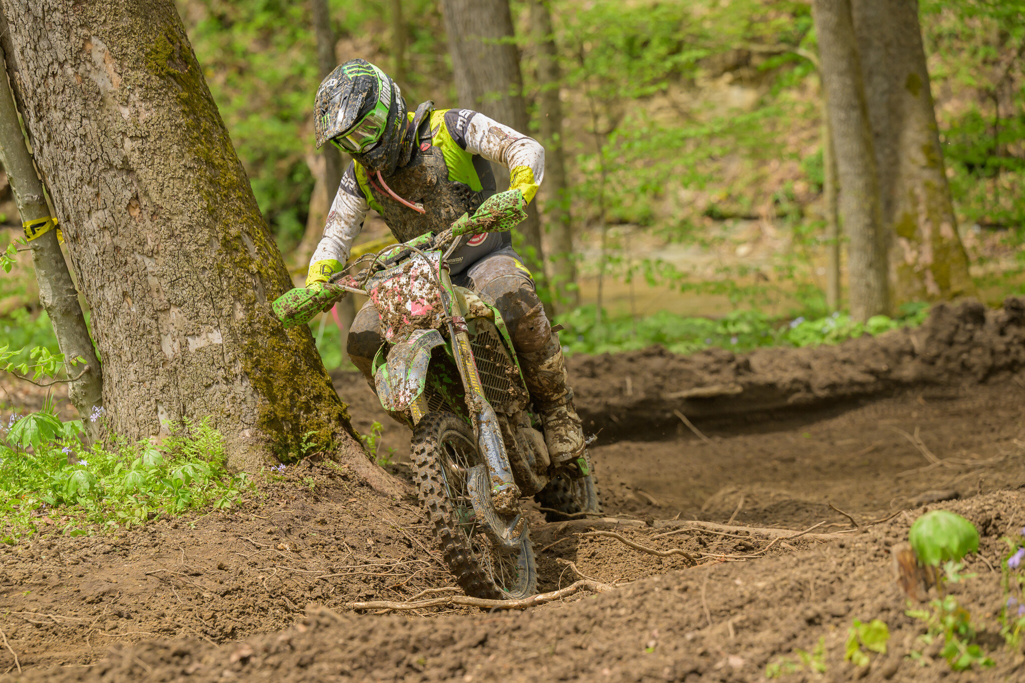 untitledHoosierSUN96