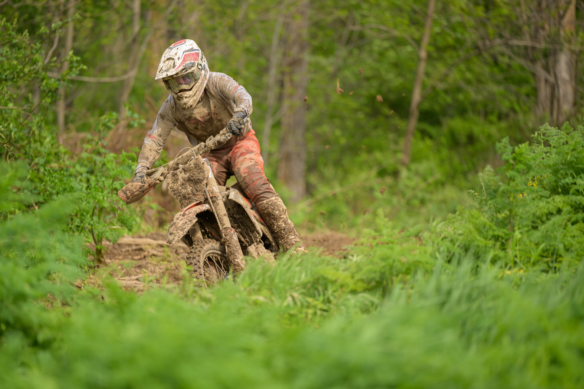 untitledHoosierSUN140