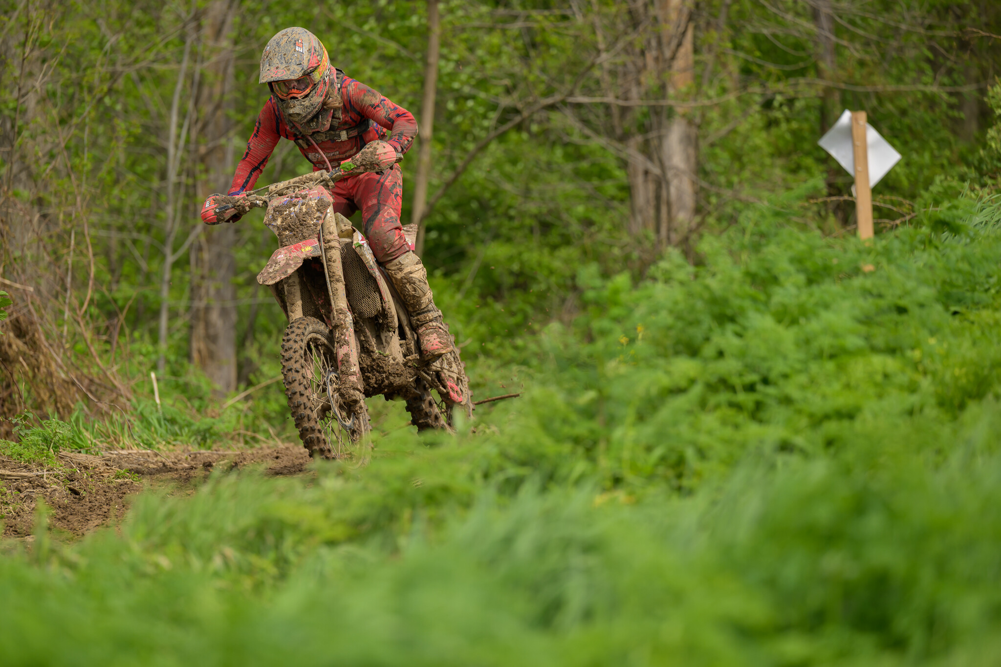 untitledHoosierSUN153