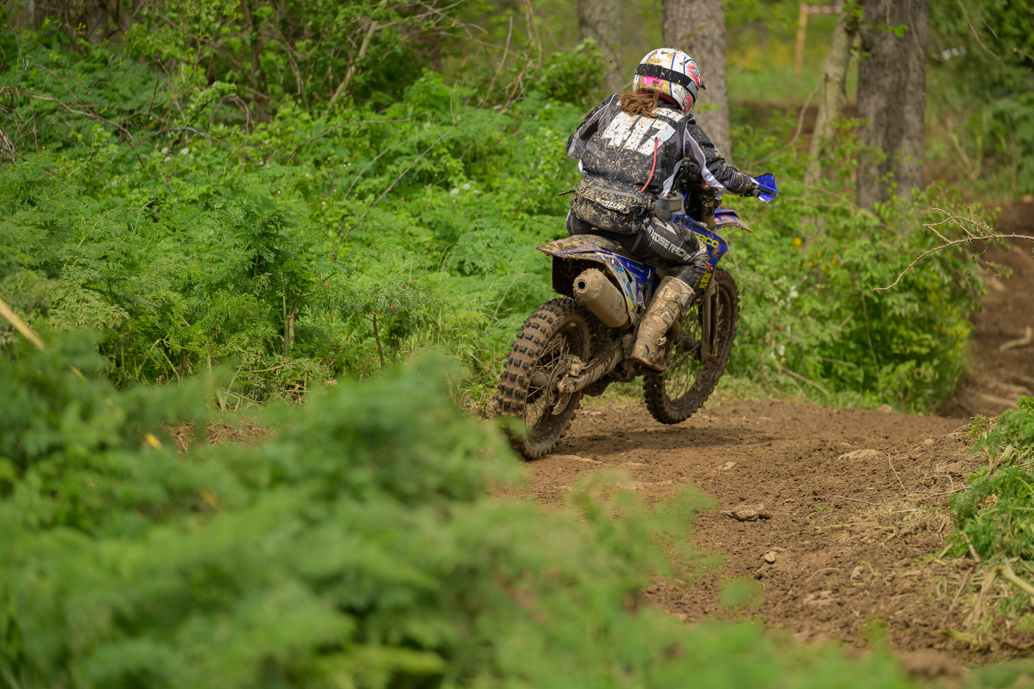 untitledHoosierSUN148