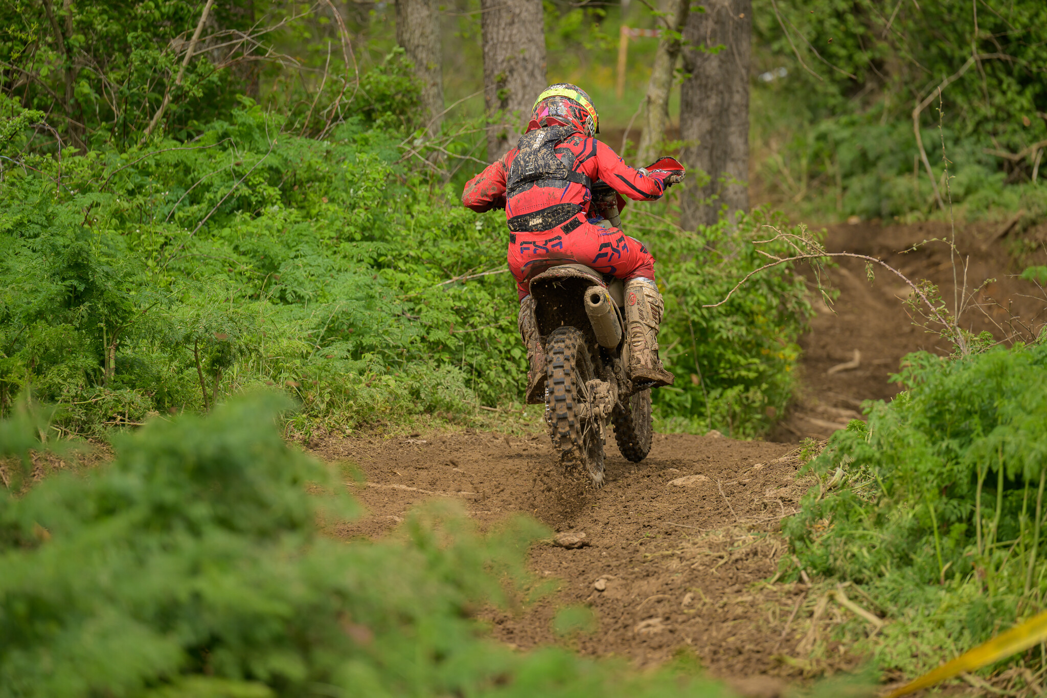 untitledHoosierSUN150