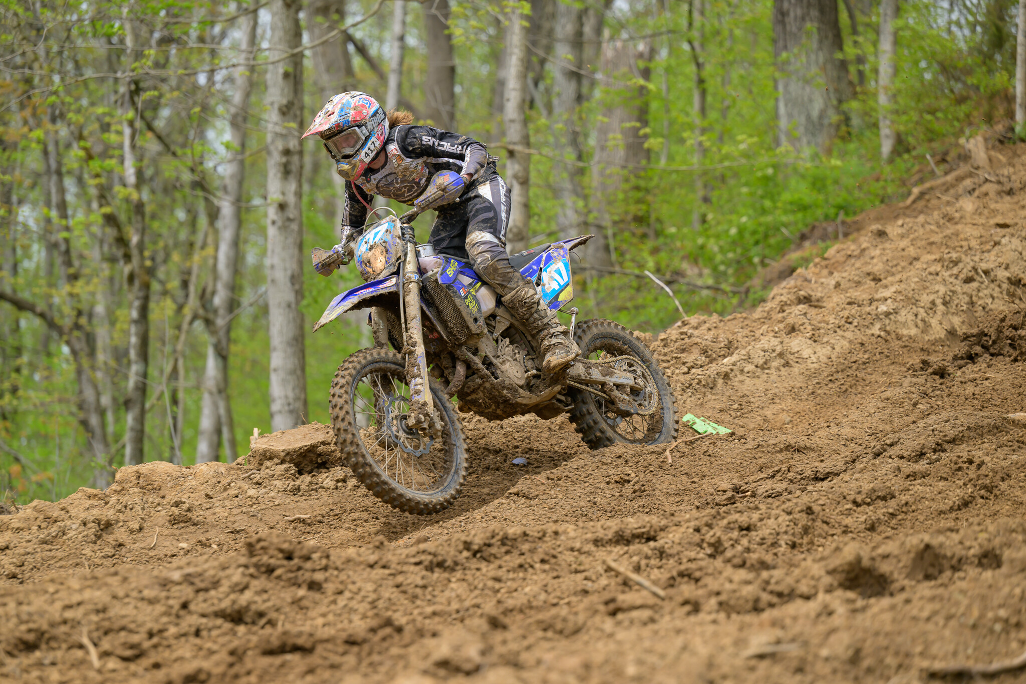 untitledHoosierSUN167