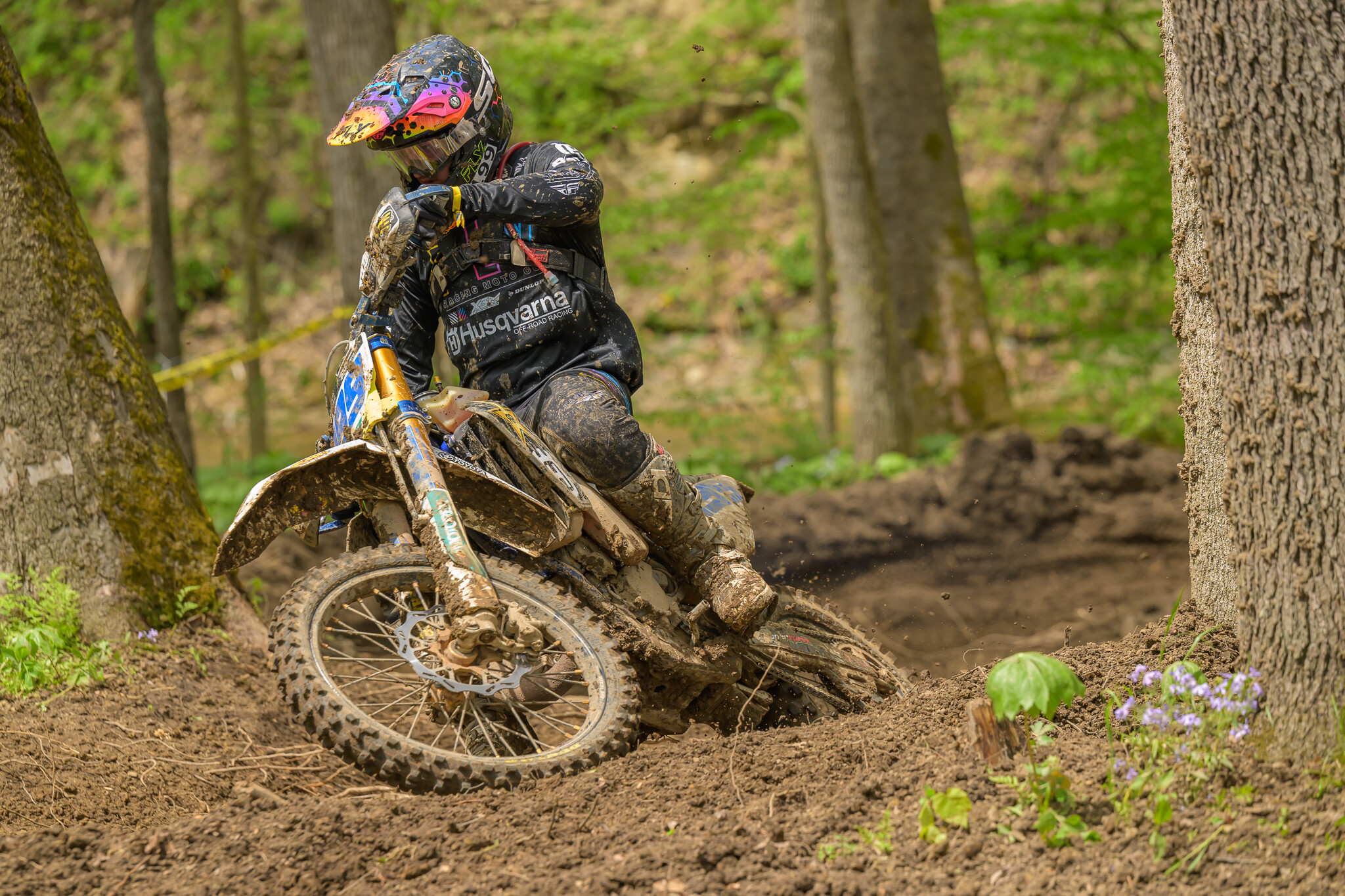 untitledHoosierSUN137