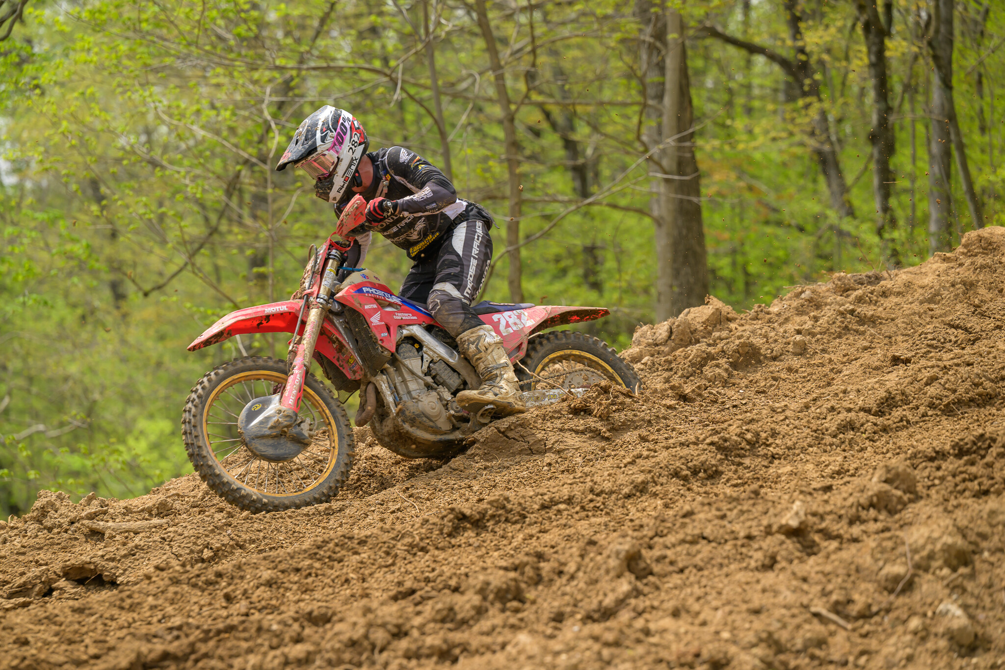 untitledHoosierSUN166HoosierSUN2