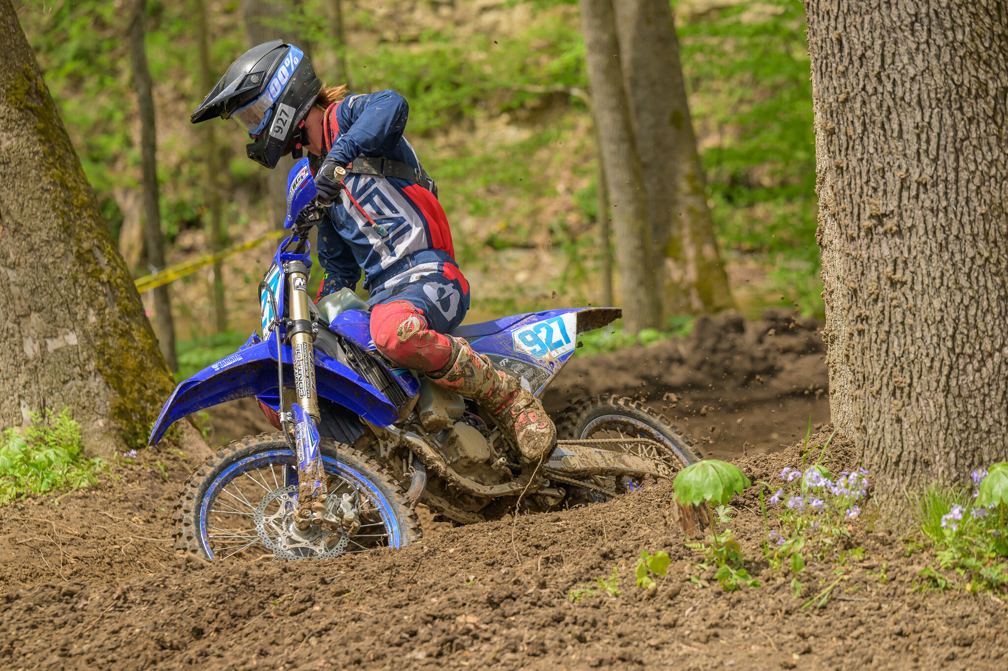 untitledHoosierSUN141HoosierSUN2