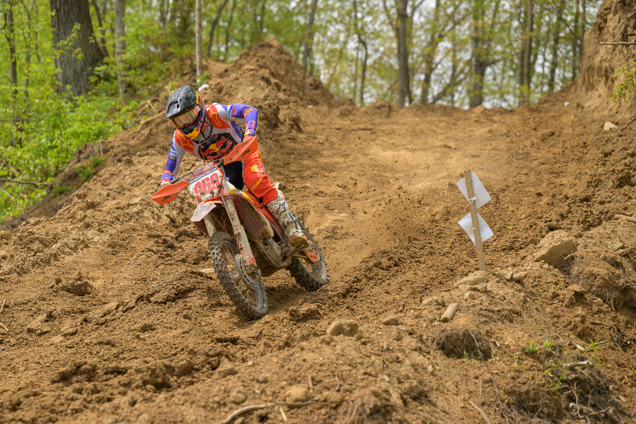 untitledHoosierSUN163HoosierSUN2