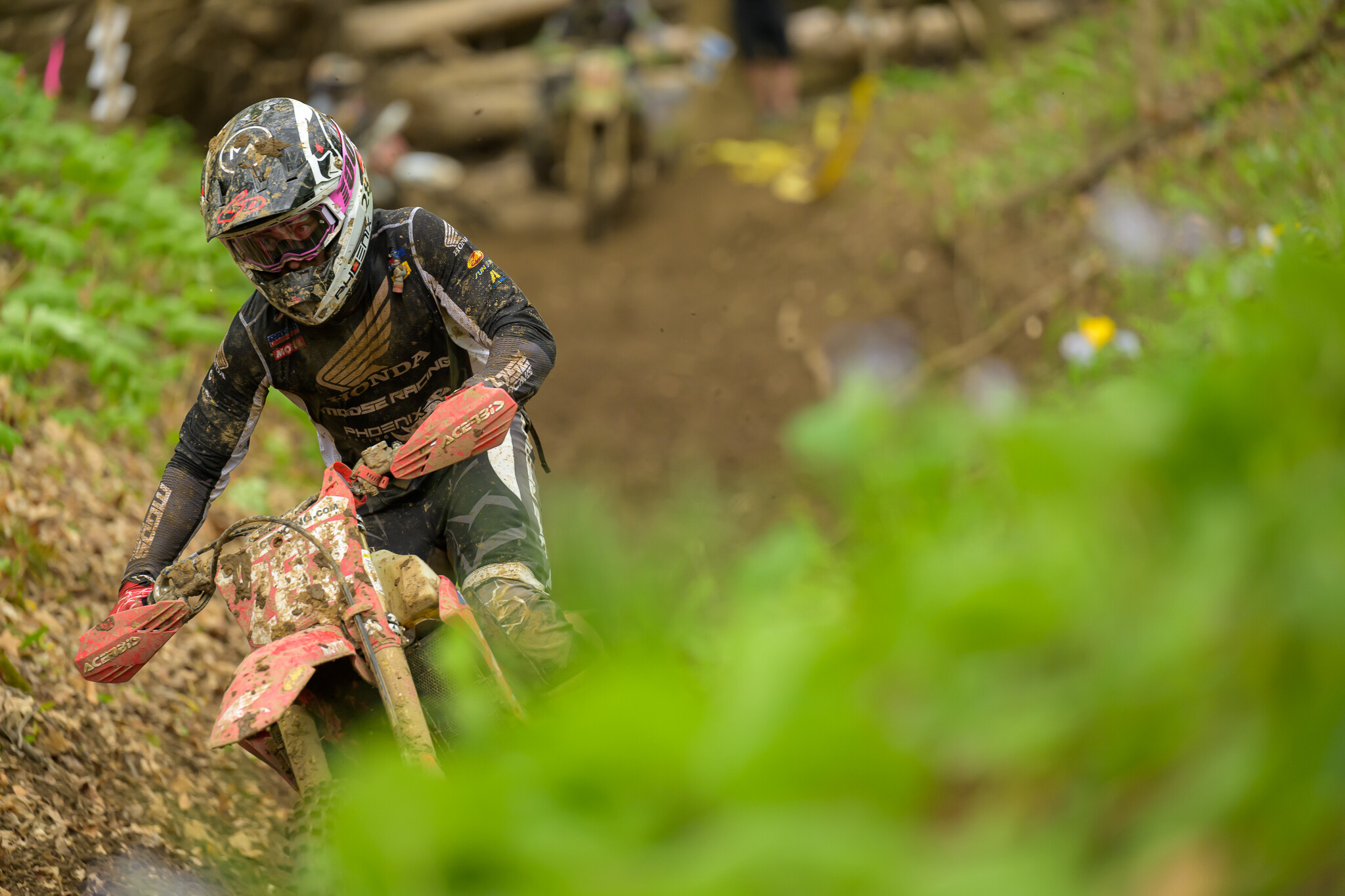 untitledHoosierSUN252