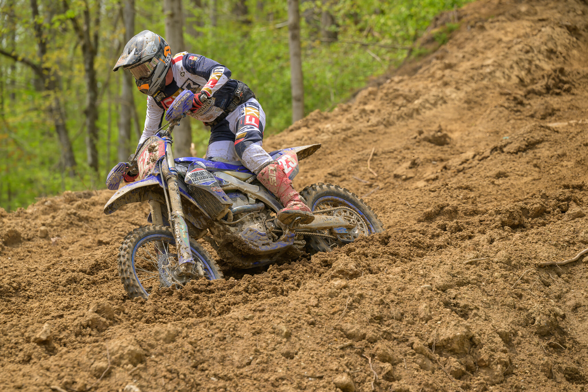 untitledHoosierSUN184