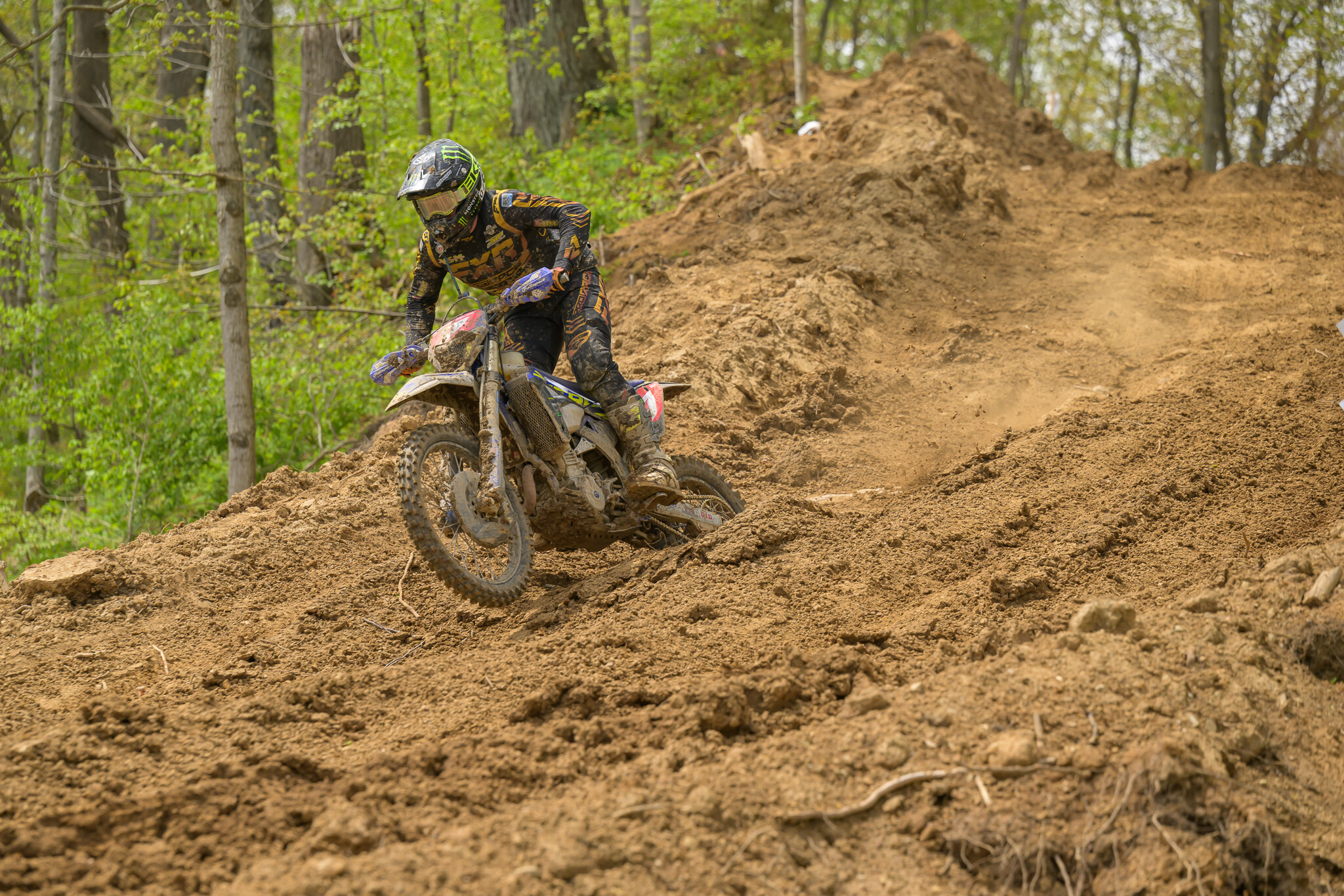 untitledHoosierSUN179HoosierSUN2