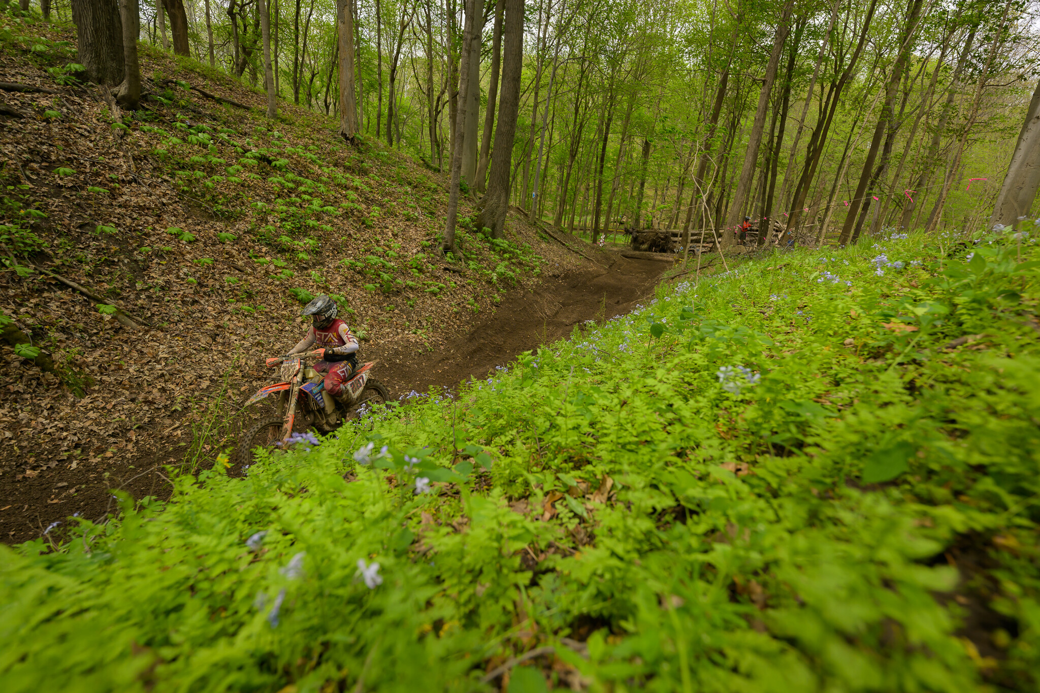 untitledHoosierSUN243