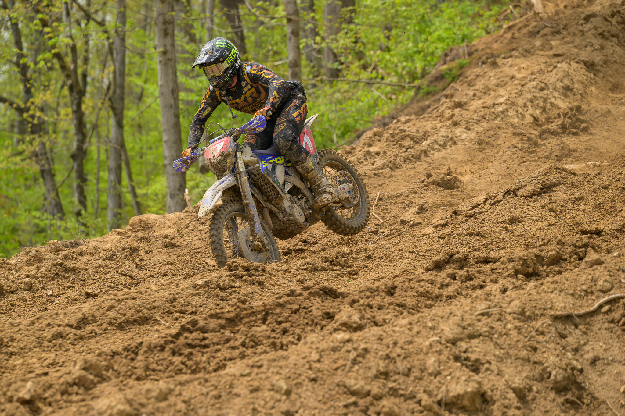 untitledHoosierSUN181