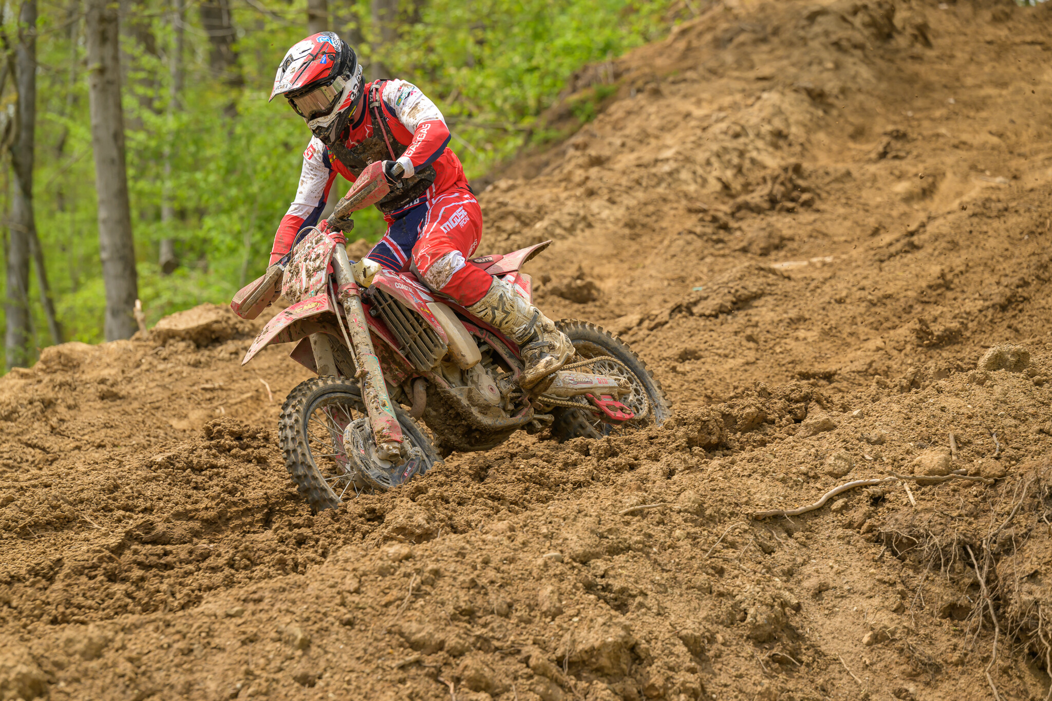 untitledHoosierSUN177HoosierSUN2