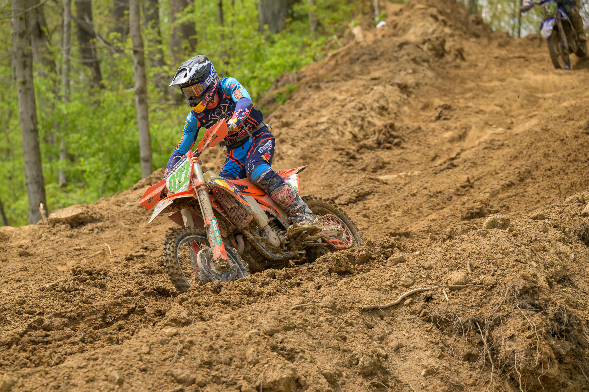 untitledHoosierSUN186