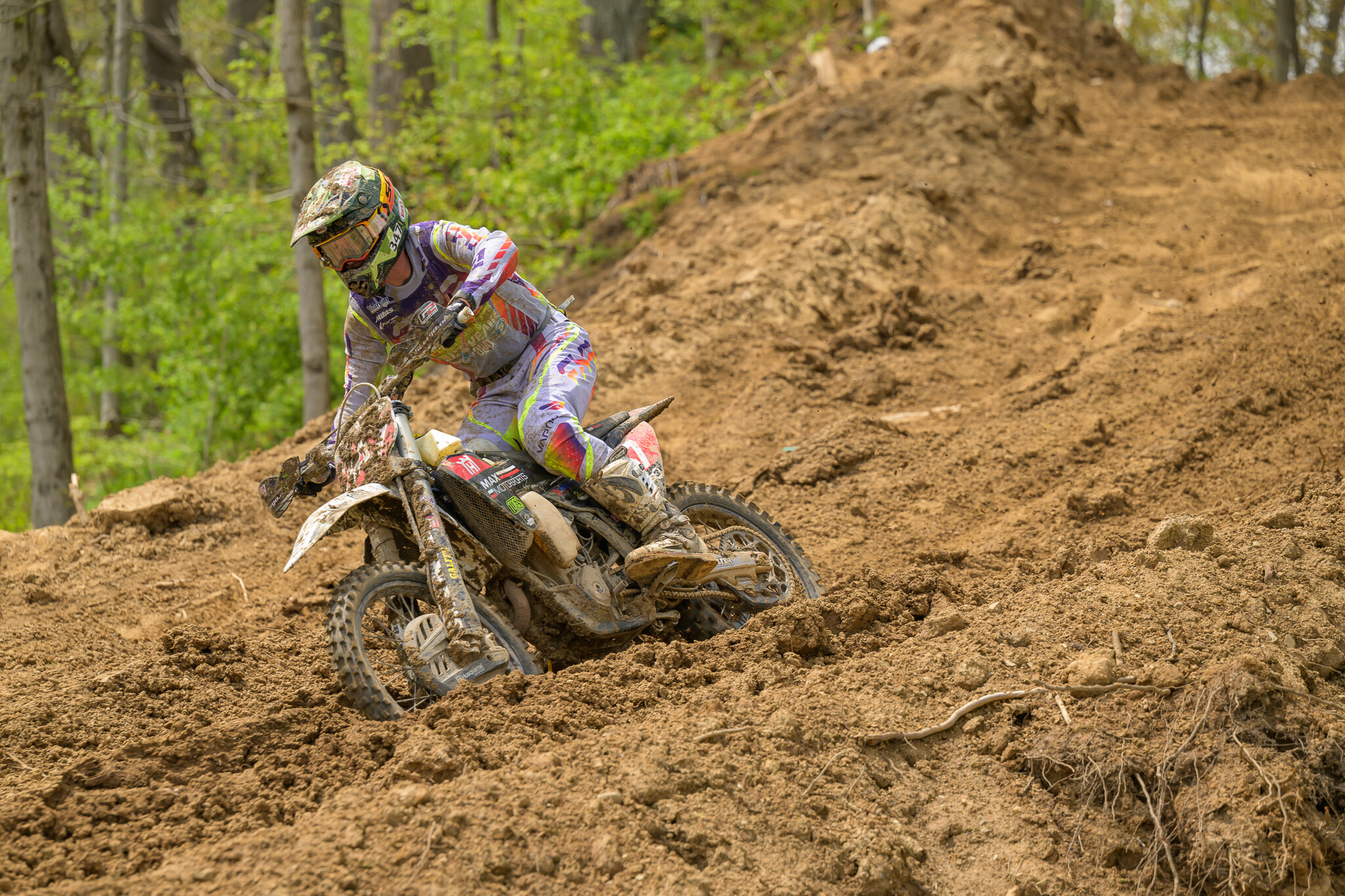 untitledHoosierSUN174HoosierSUN2