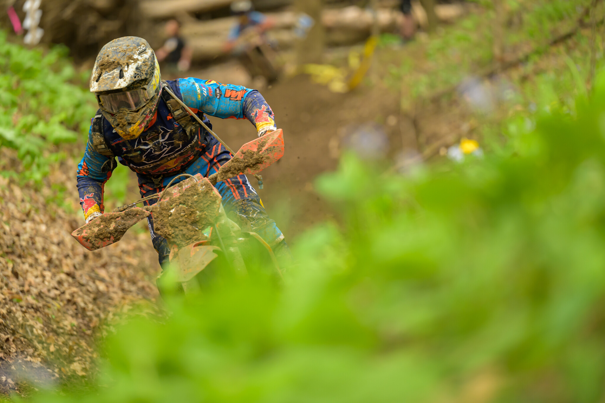 untitledHoosierSUN269