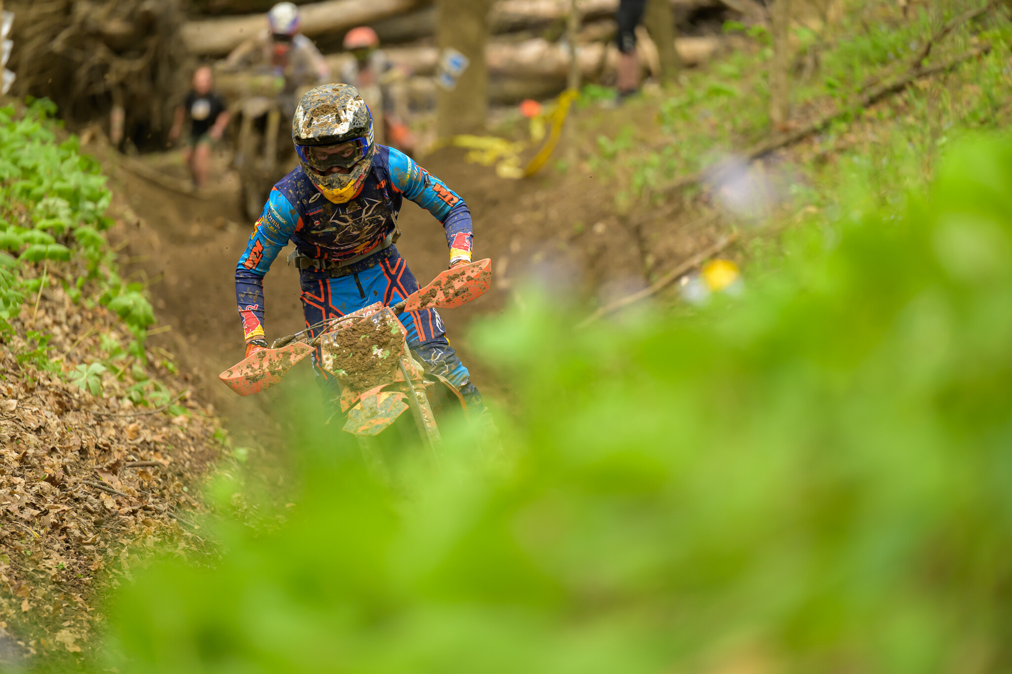 untitledHoosierSUN272