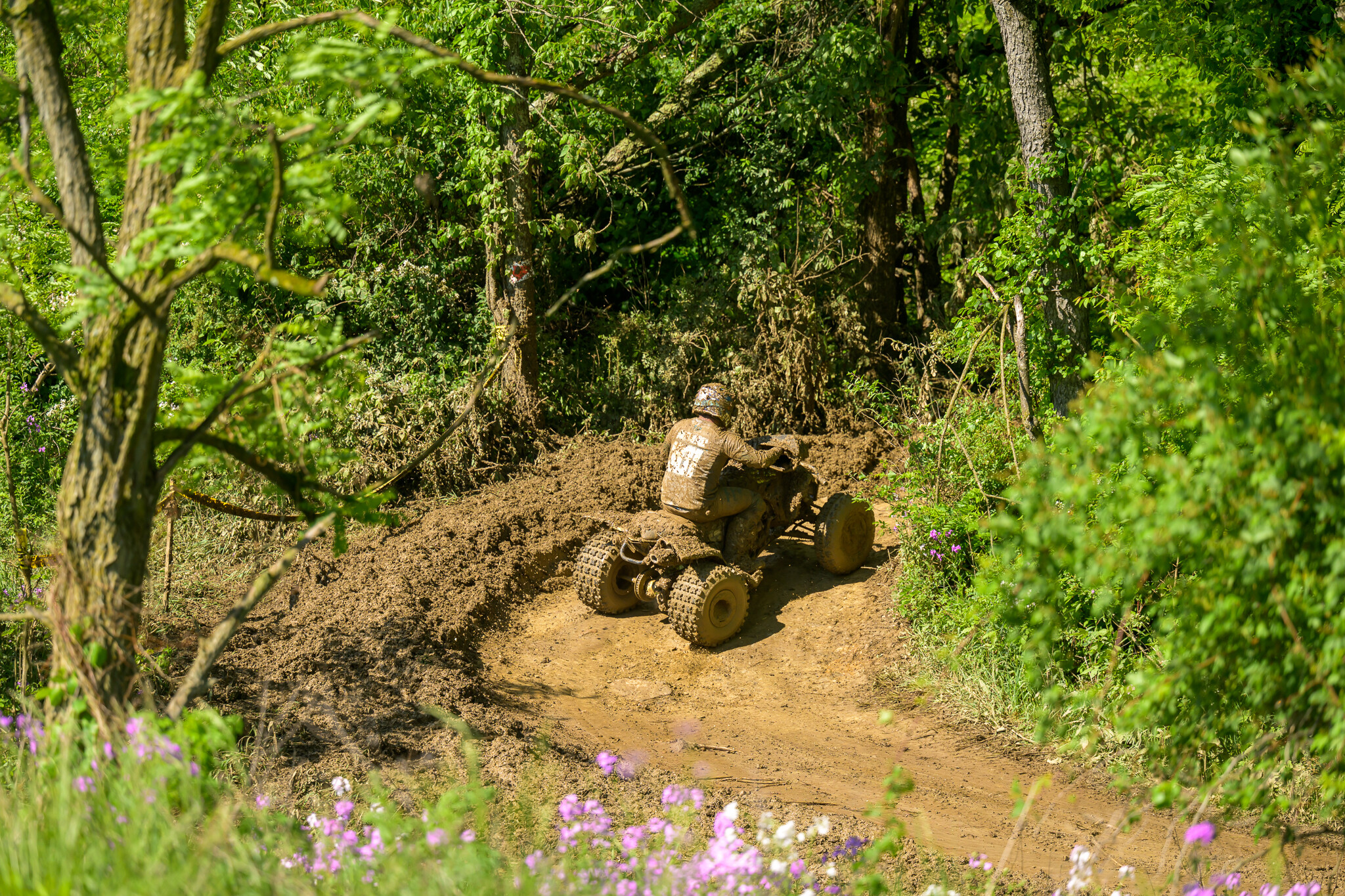 PowerlineParkSAT-140