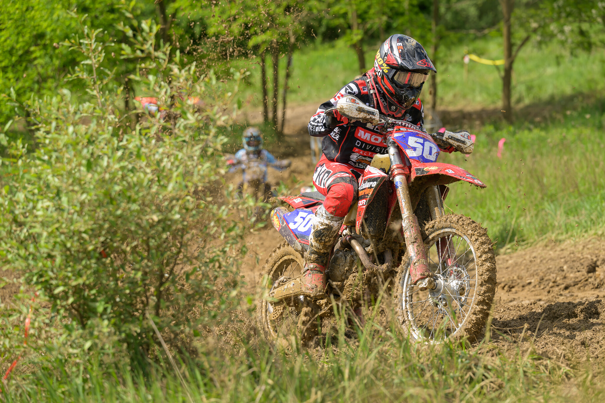 PowerlineParkSUN-100