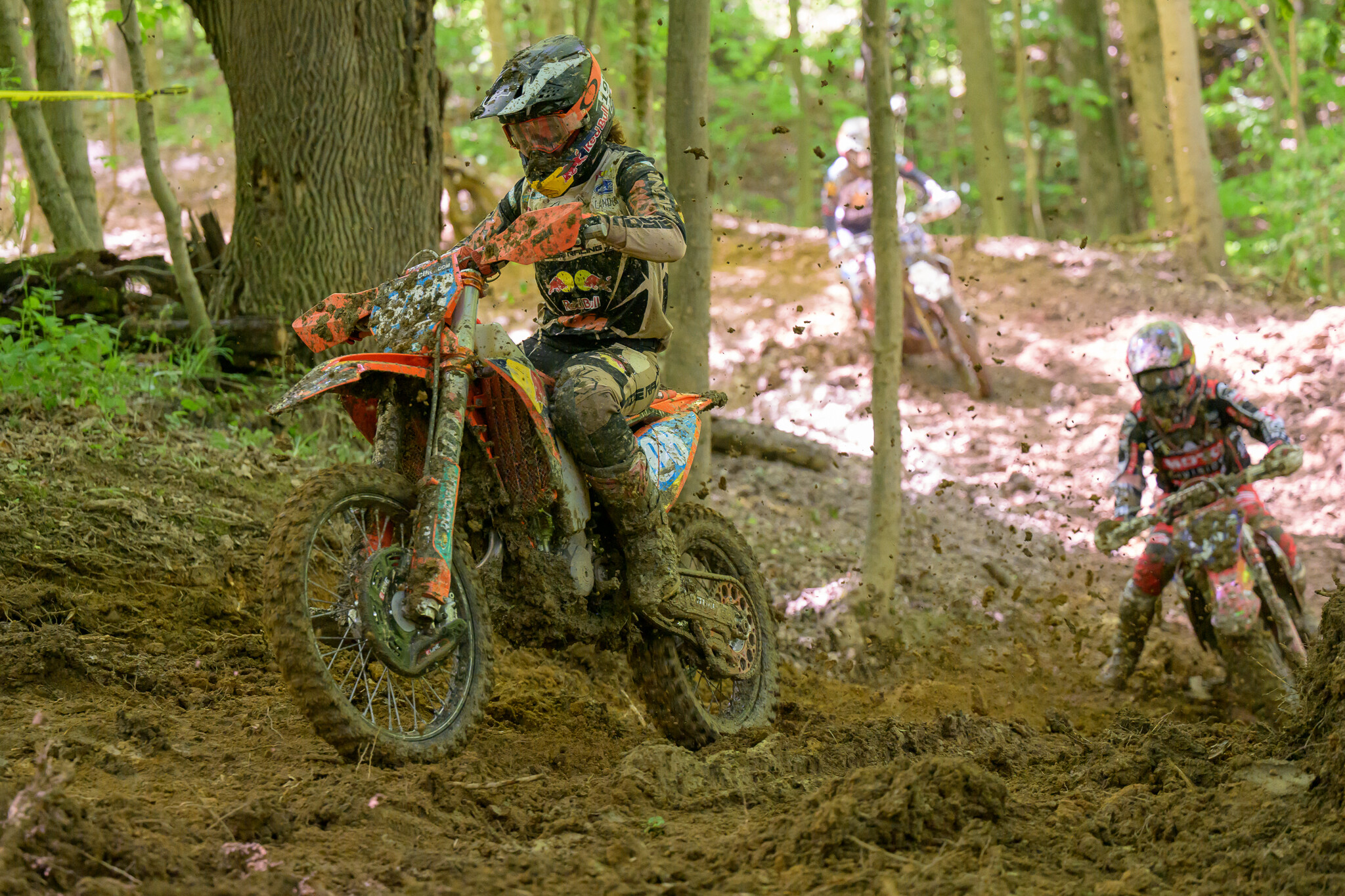 PowerlineParkSUN-111