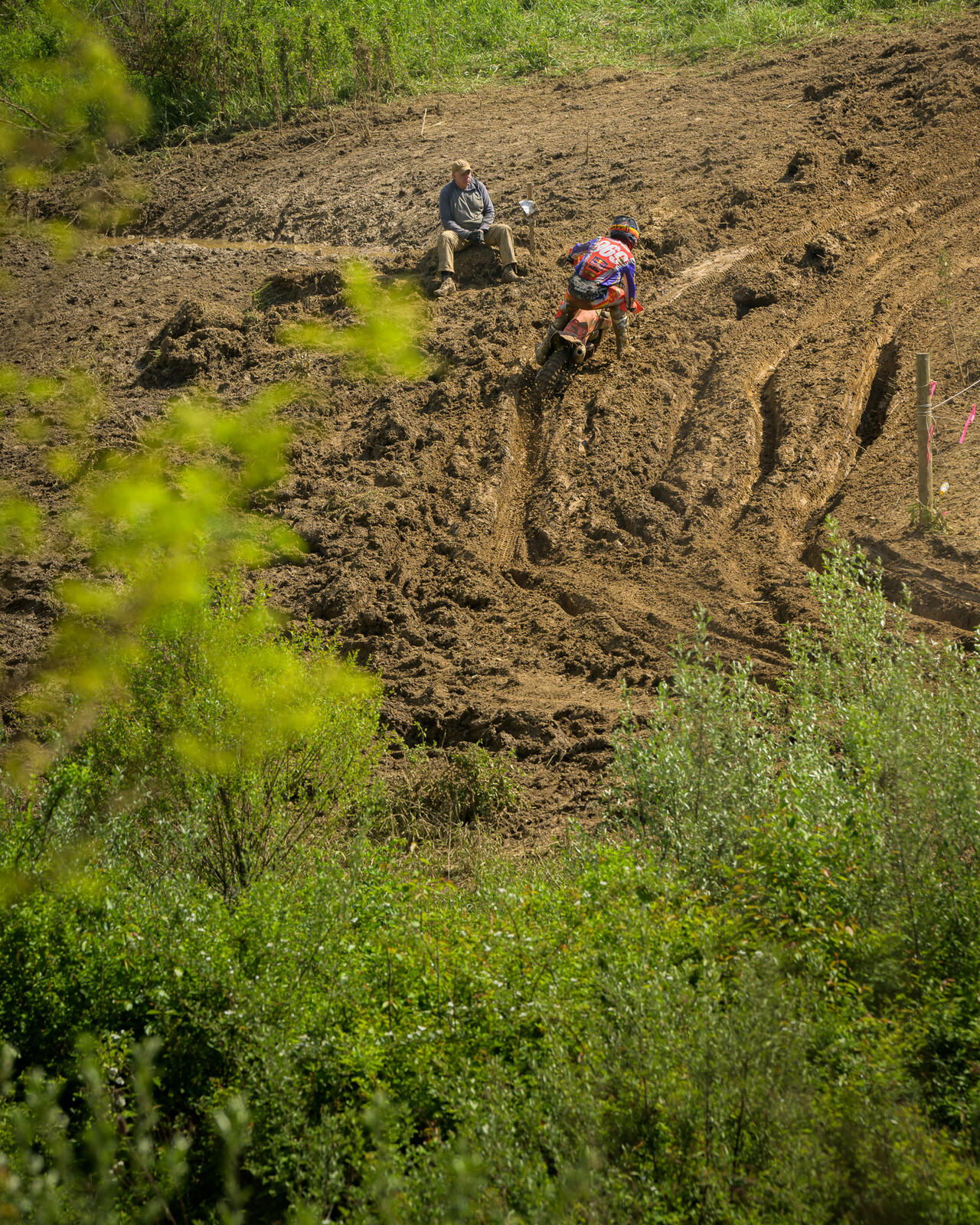 PowerlineParkSUN-171