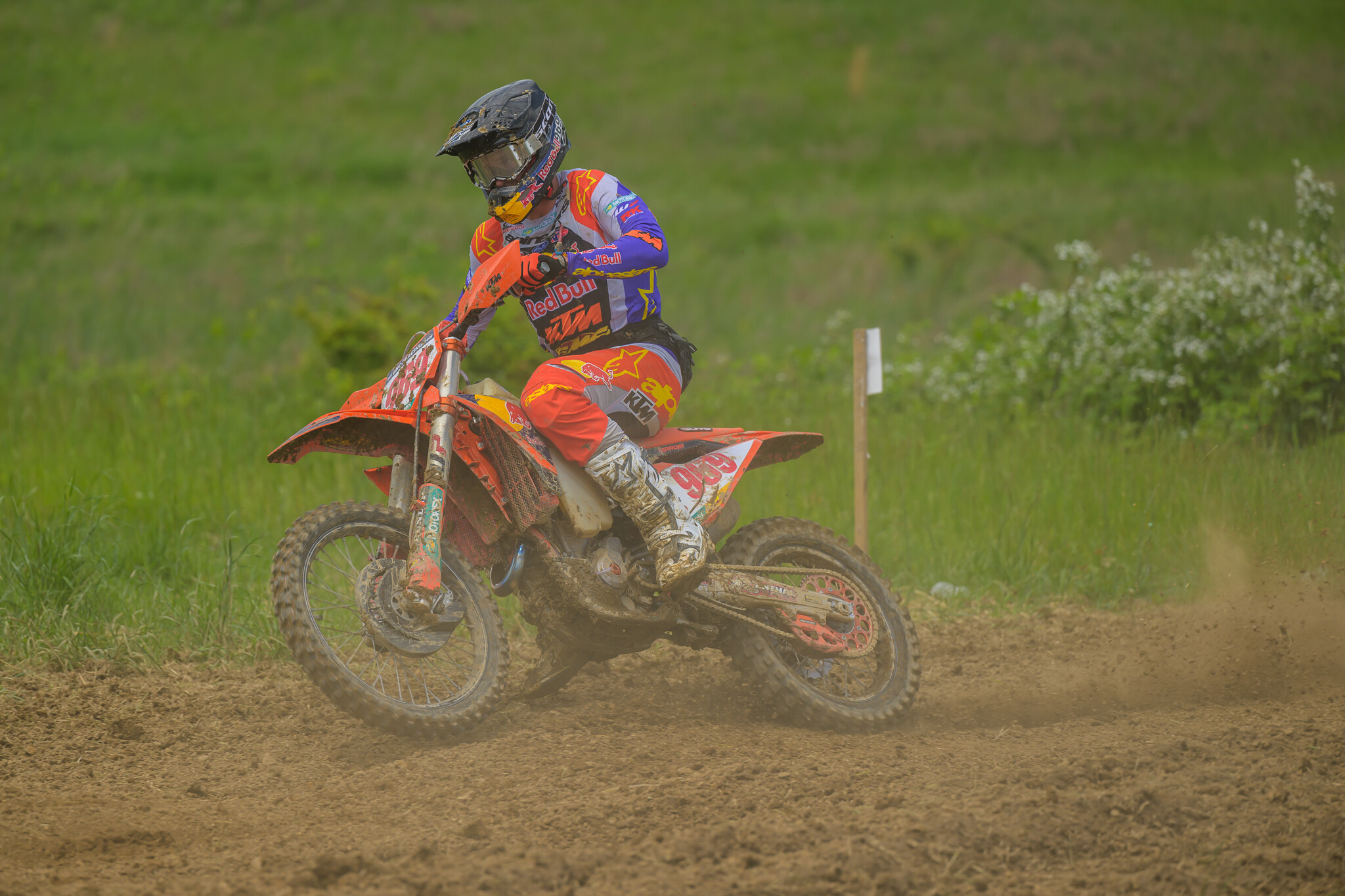 PowerlineParkSUN-278