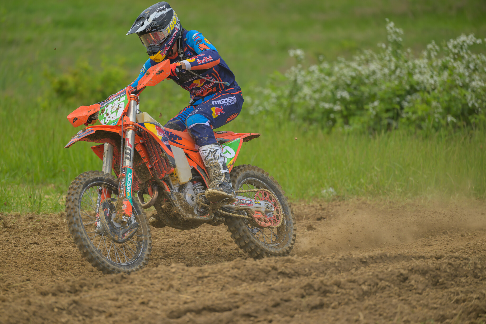 PowerlineParkSUN-286