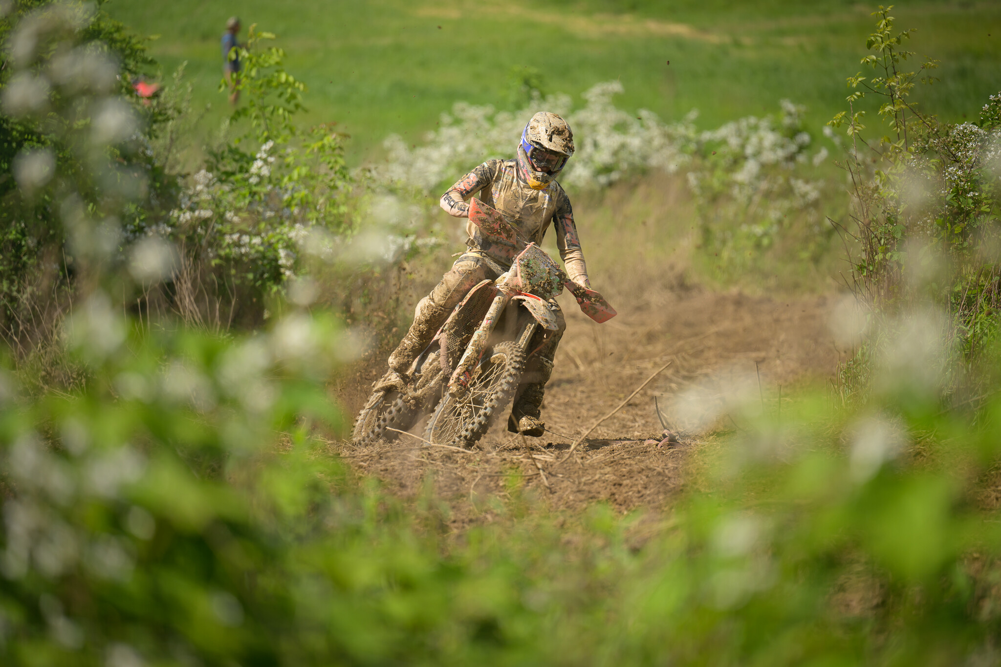 PowerlineParkSUN-446