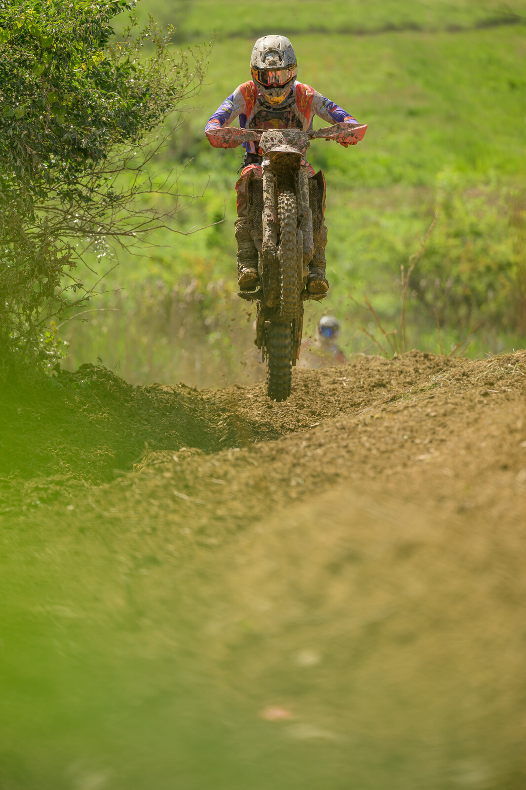 PowerlineParkSUN-458