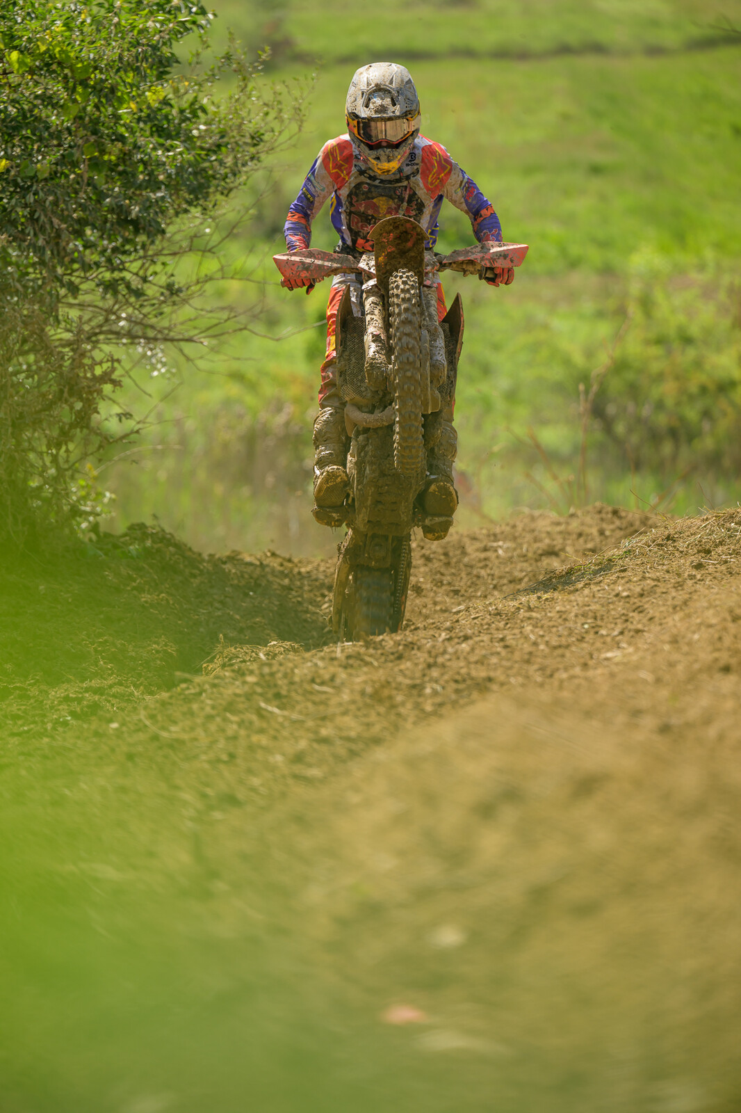 PowerlineParkSUN-457