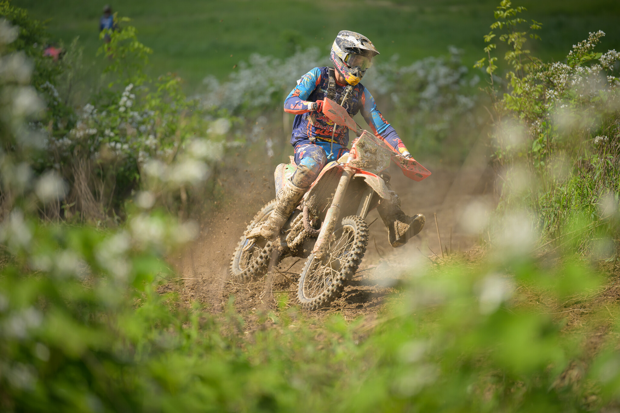 PowerlineParkSUN-449