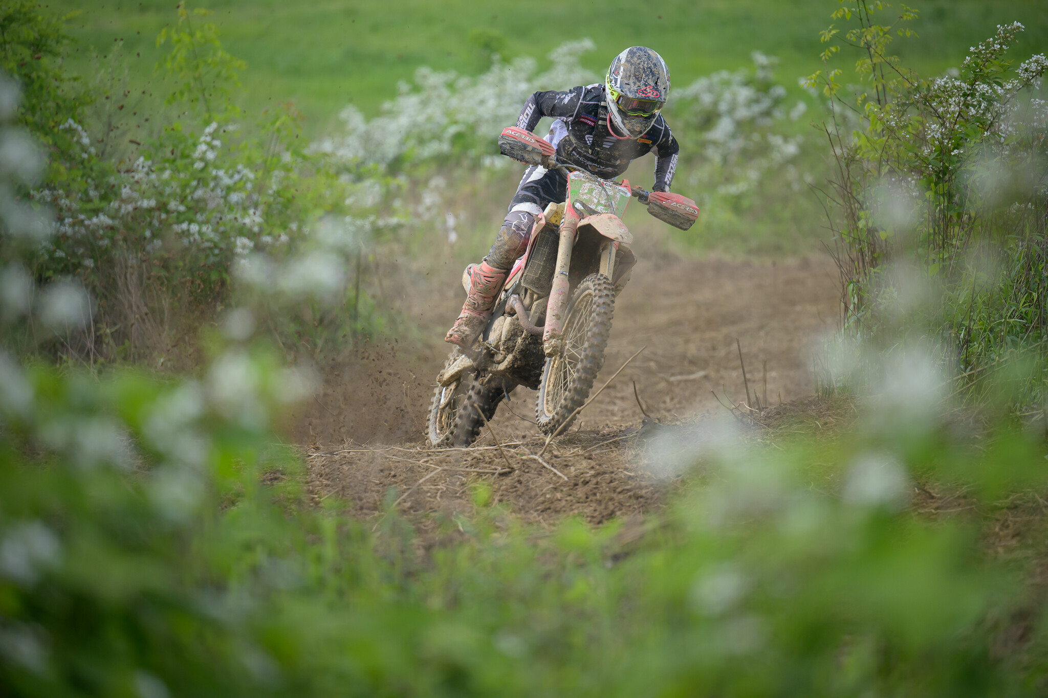 PowerlineParkSUN-452