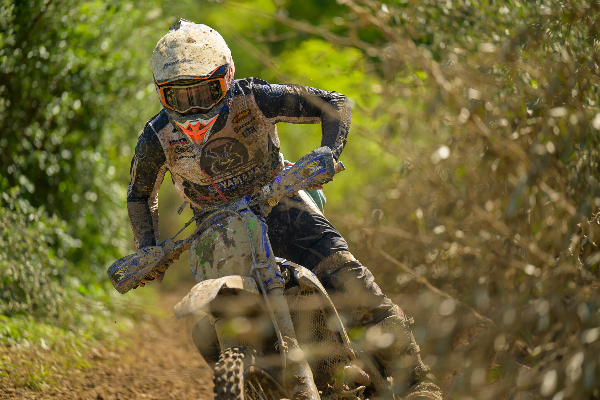 PowerlineParkSUN-477