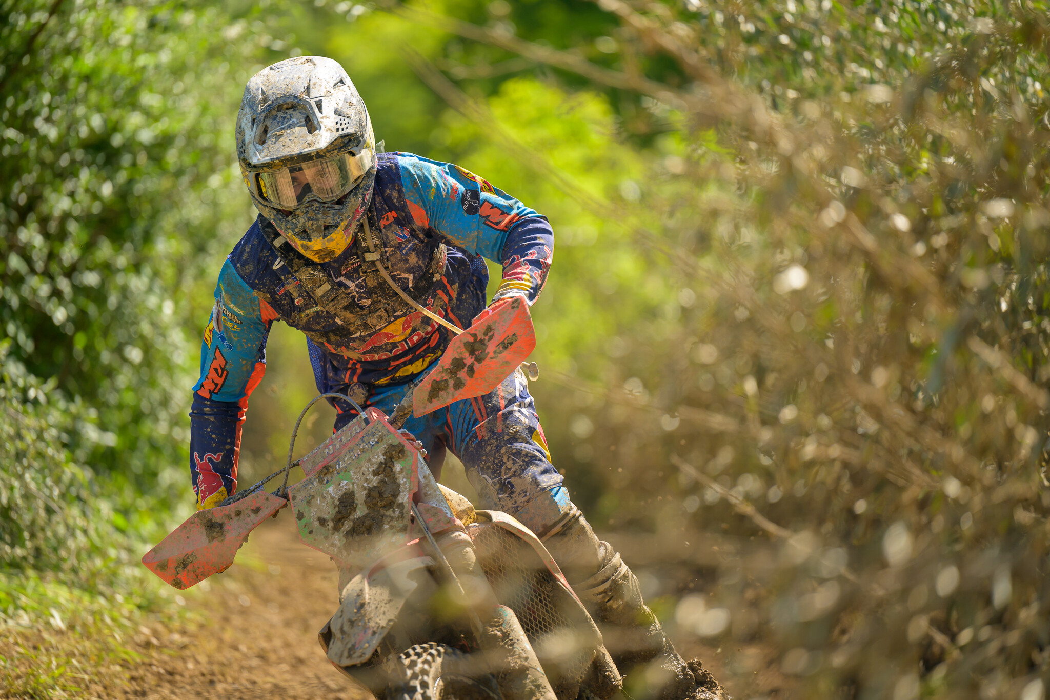 PowerlineParkSUN-471