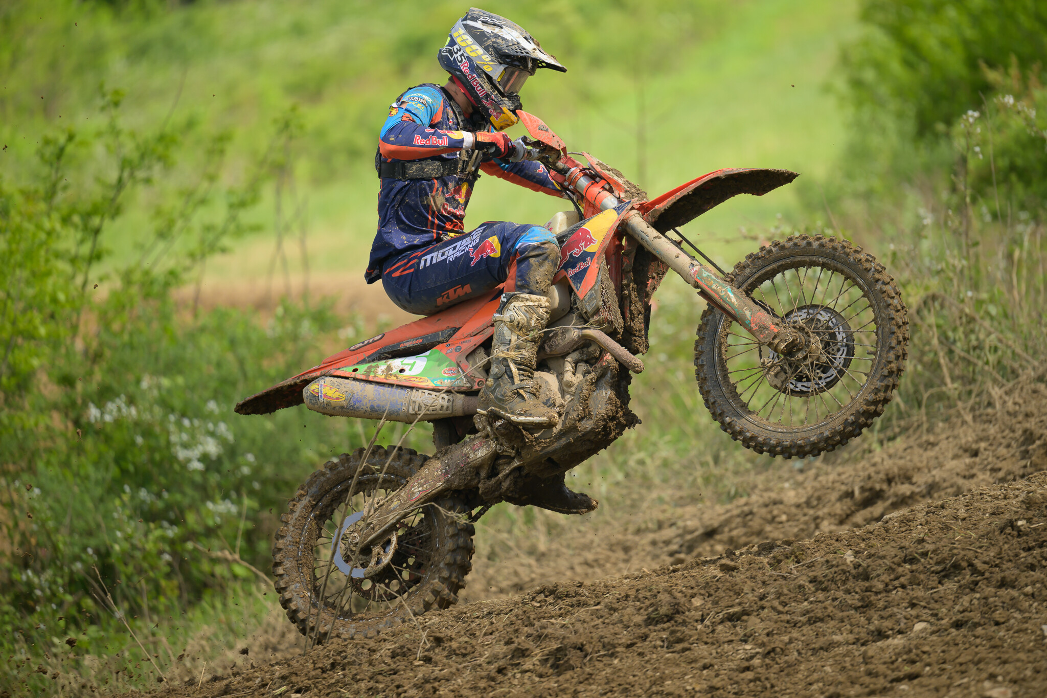 PowerlineParkSUN-438