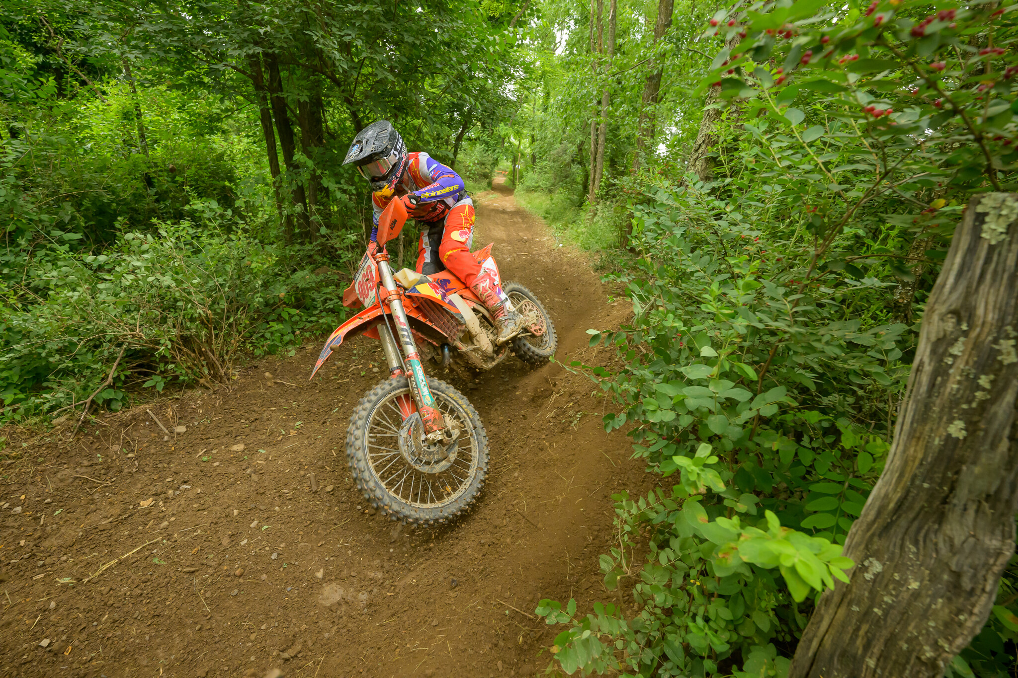 Johnny Girroir Back on Top of The GNCC Podium with Mason-Dixon Victory ...