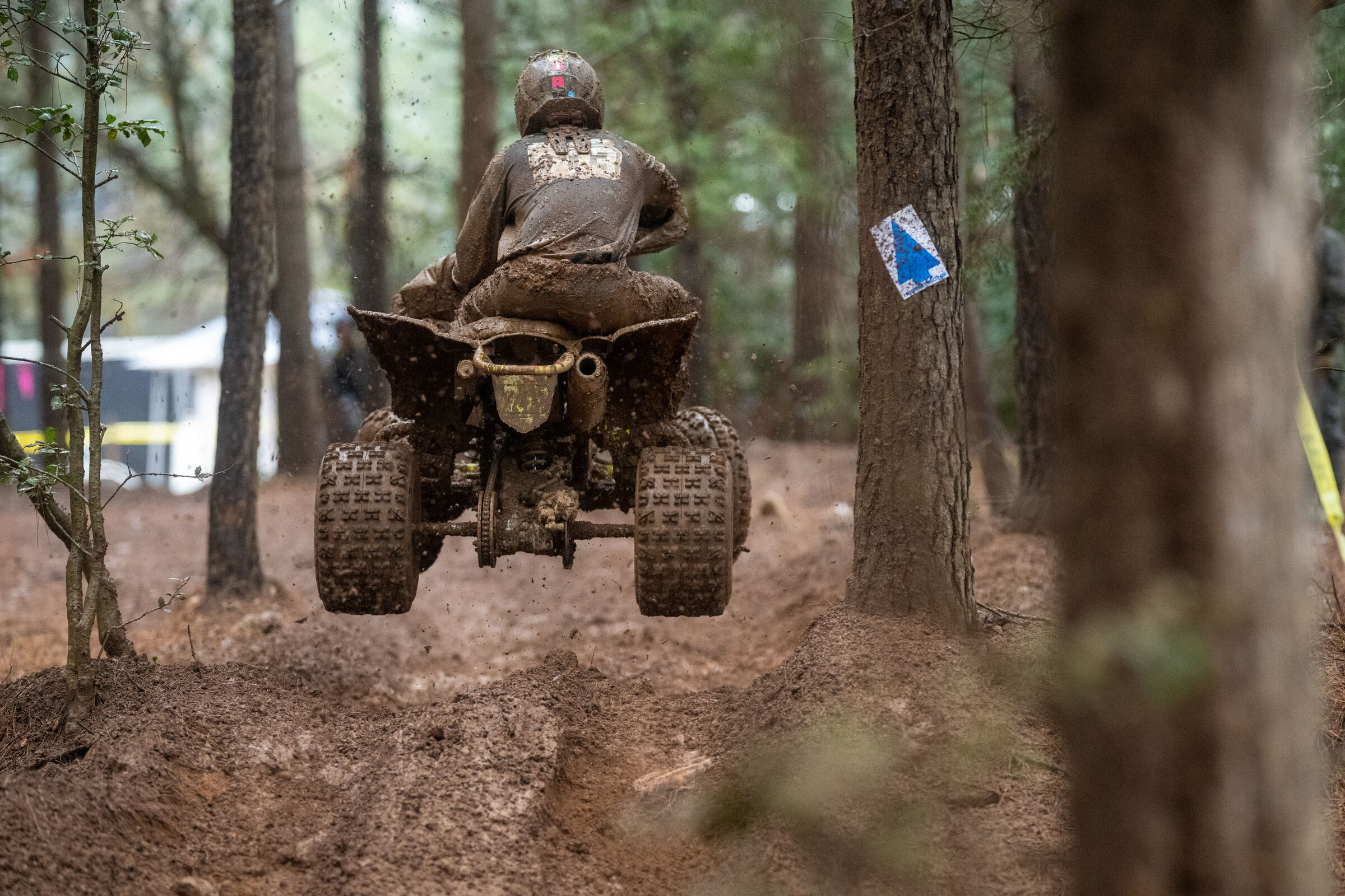 Cruising through the trees in South Carolina.
