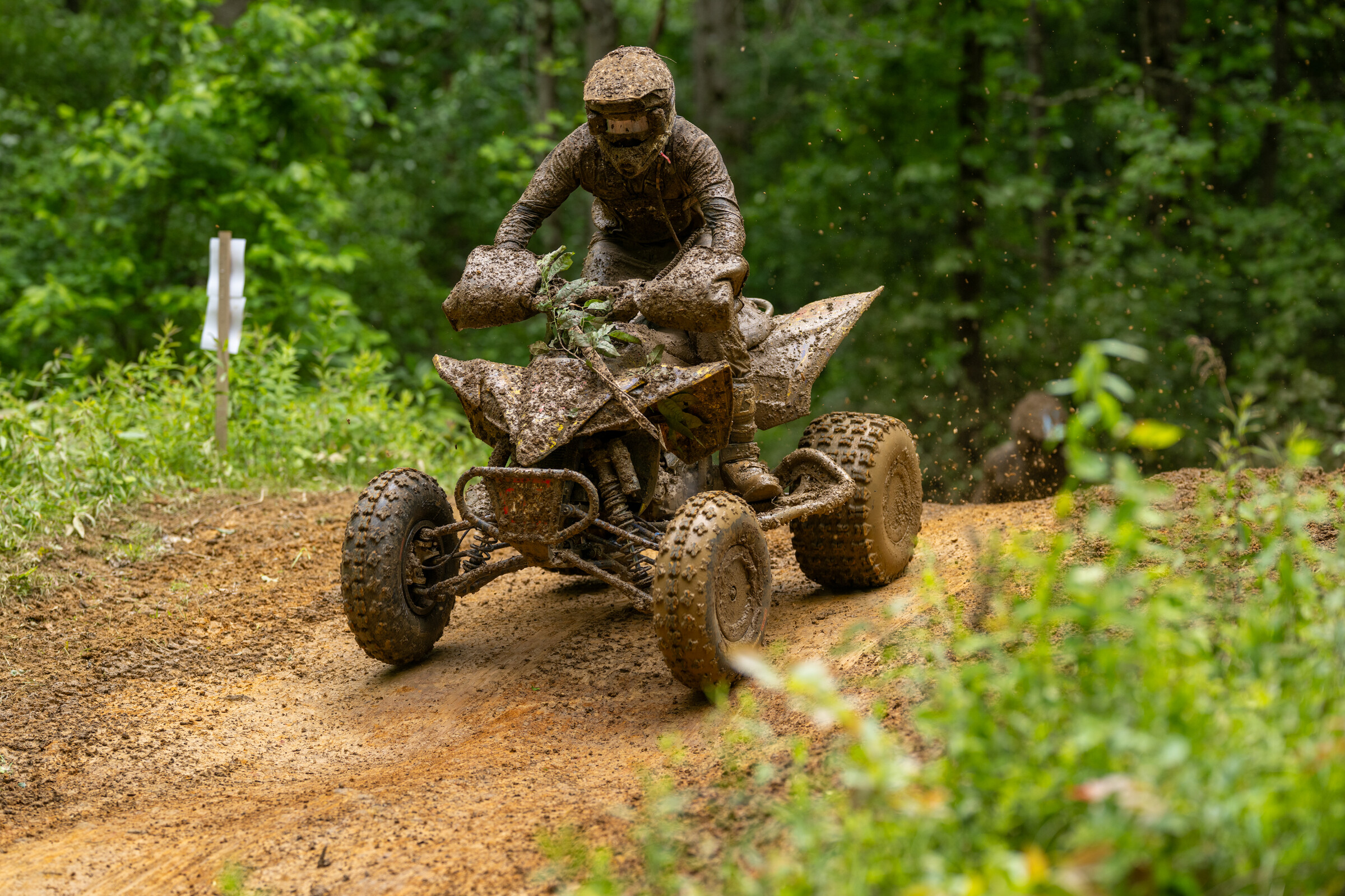 Mason-Dixon_SAT_Faint untitled-1005