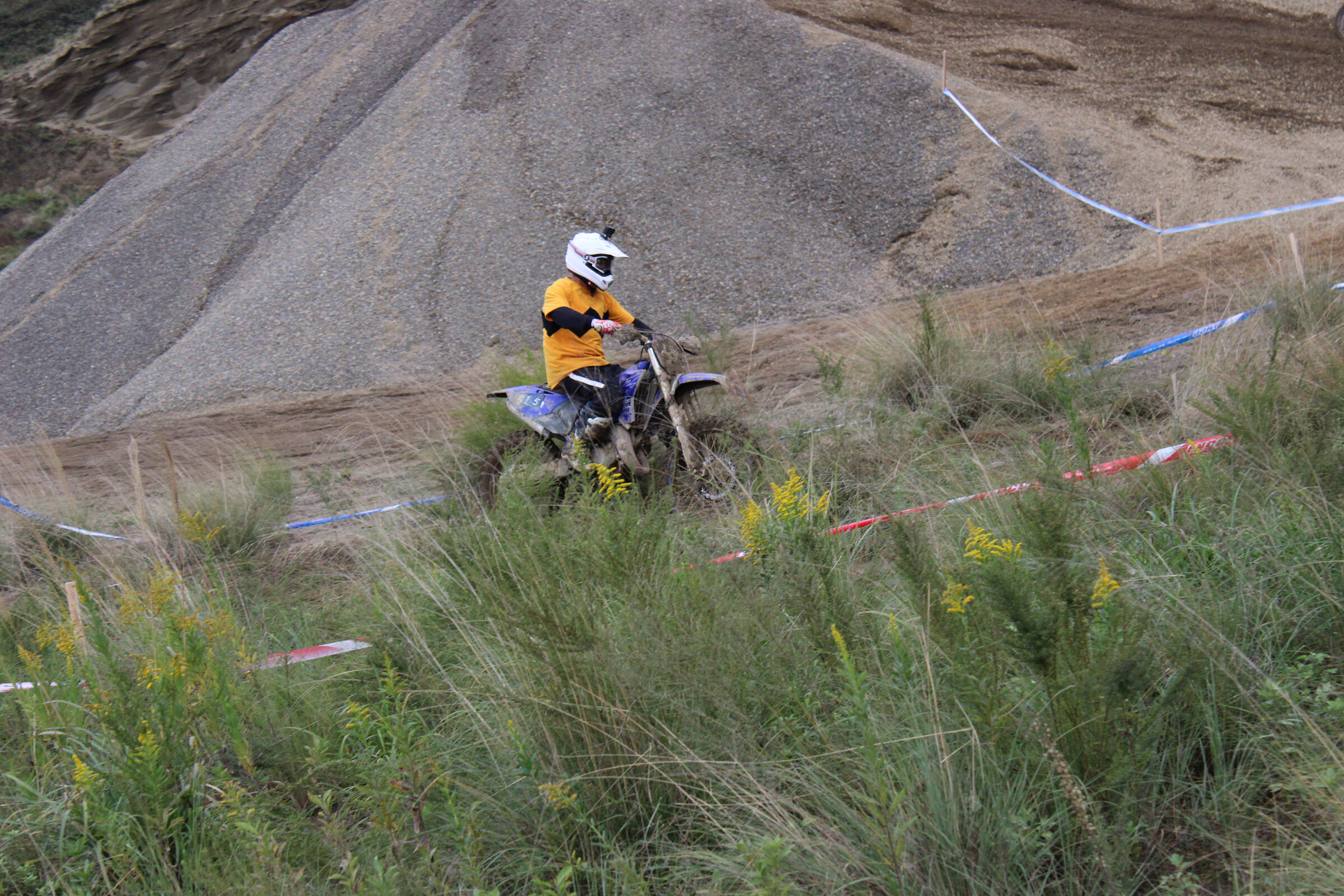 Is that Charlie Brown?!