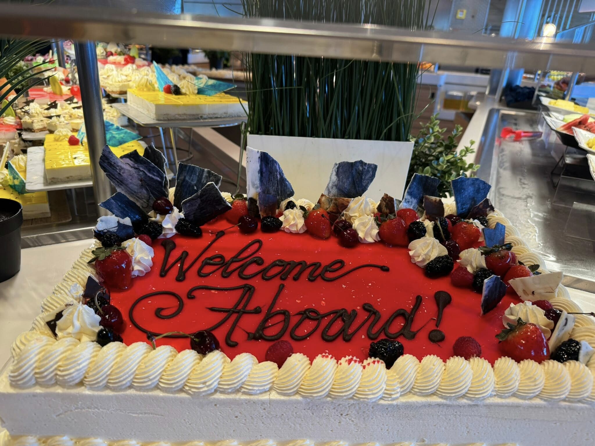 595599372_10232103719162118_131037763097919500_n