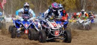 Tuesday Toolbox: New Year's Edition