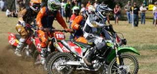 Tuesday Toolbox: Paul Whibley